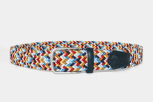 Load image into Gallery viewer, Robert Charles Elastic Multi-Colour Belt
