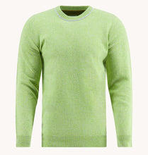 Load image into Gallery viewer, A Fish Named Fred Classic Pullover Jersey (2 Colours)
